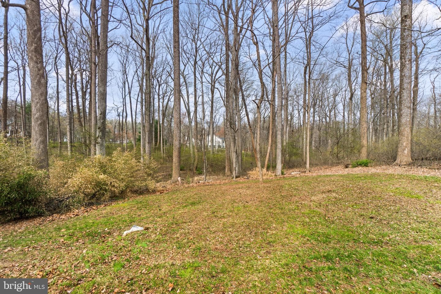 12238 Etchison Road photo 46
