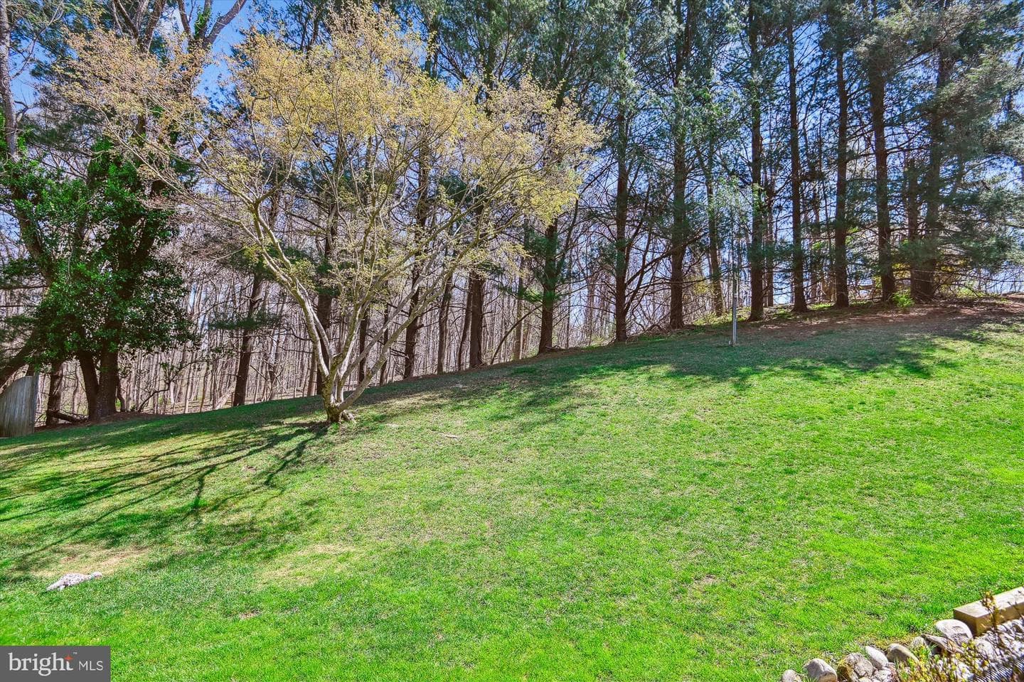 3823 Grosvenor Drive photo 4