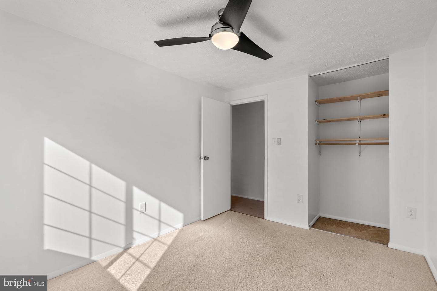 10779 Glen Hannah Drive photo 23
