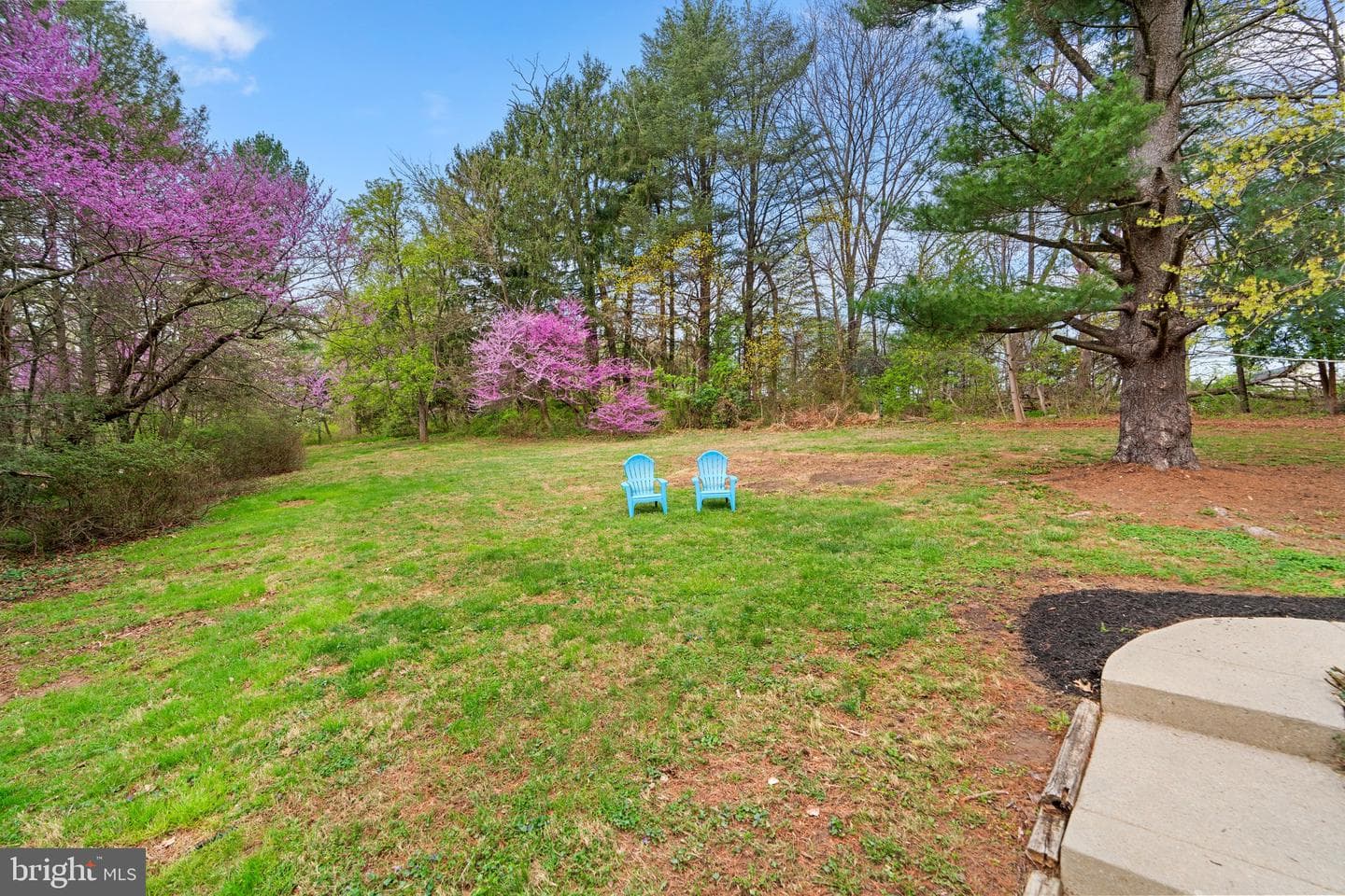 14340 Triadelphia Mill Road photo 38