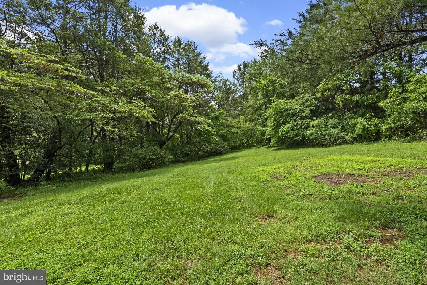 14340 Triadelphia Mill Road photo 44