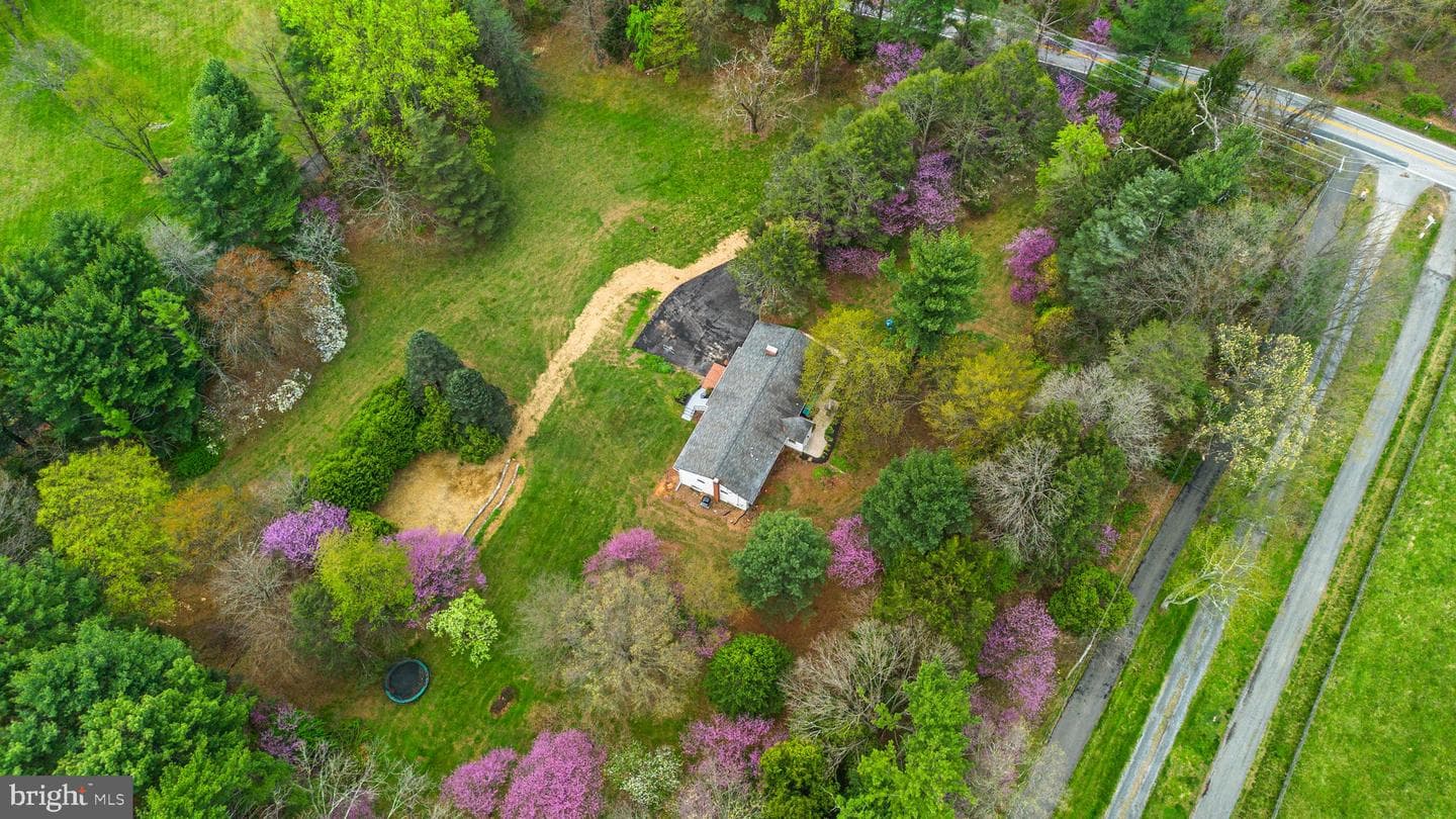 14340 Triadelphia Mill Road photo 61