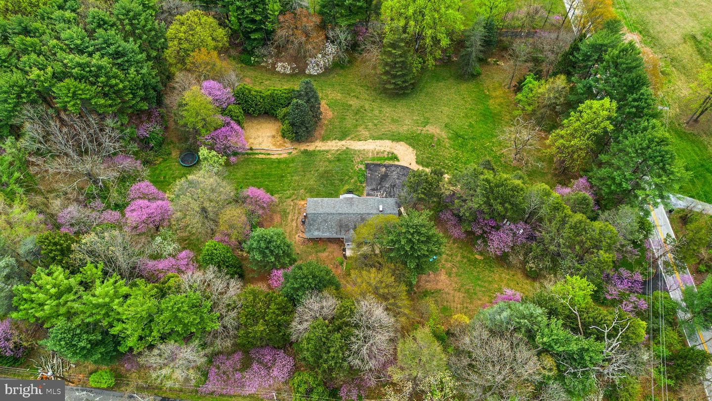 14340 Triadelphia Mill Road photo 62
