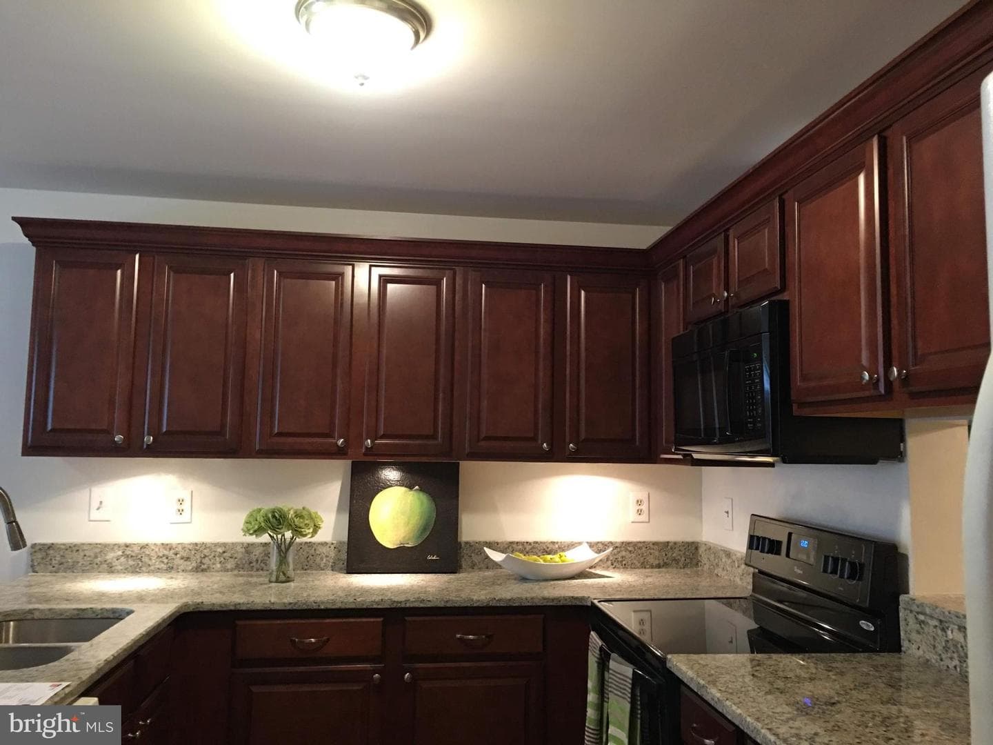 11876 New Country Lane photo 3