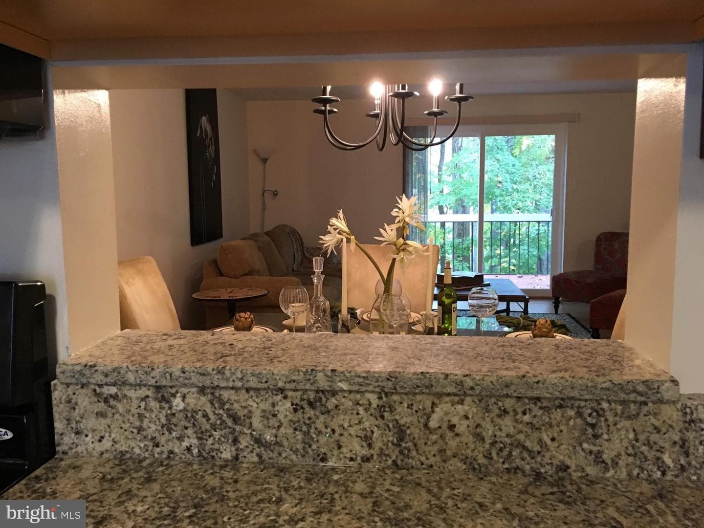 11876 New Country Lane photo 4
