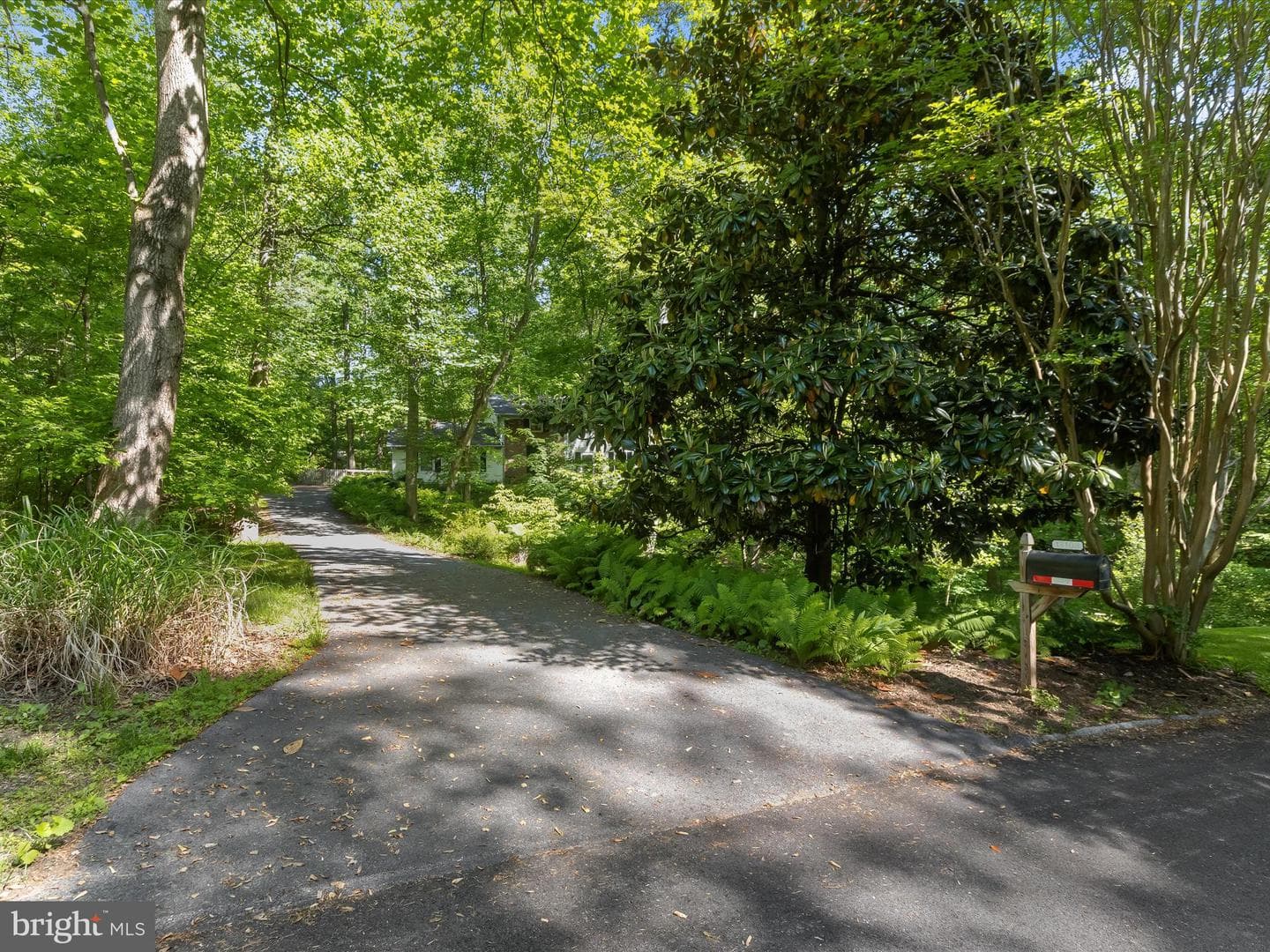 13108 Williamfield Drive photo 47