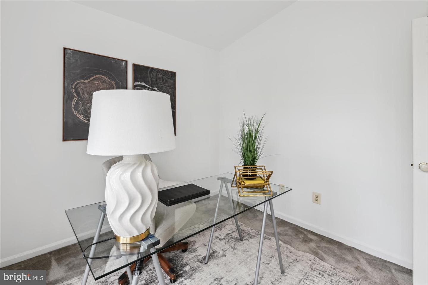 10120 Frost Way photo 61