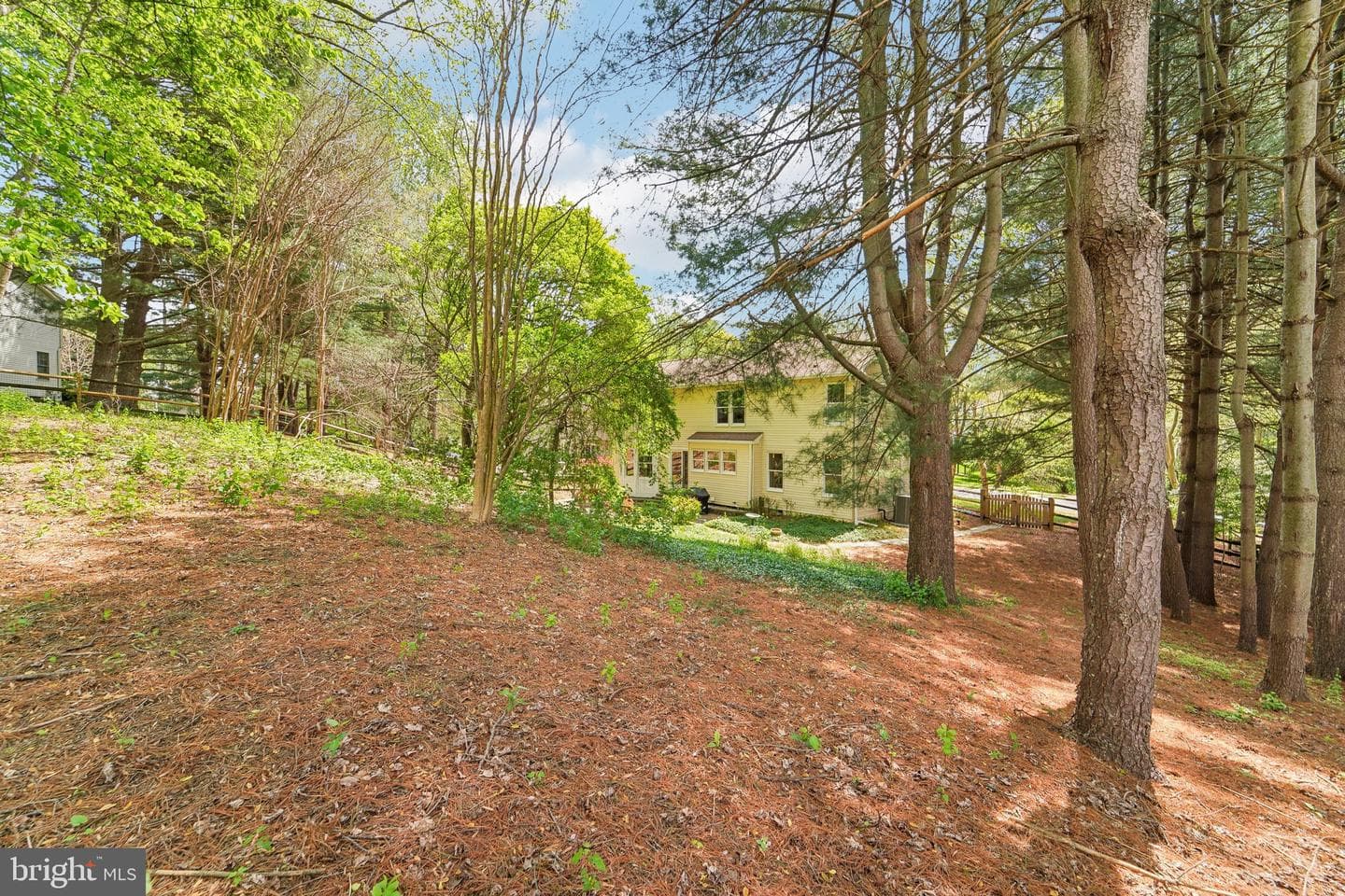 10908 Harmel Drive photo 38