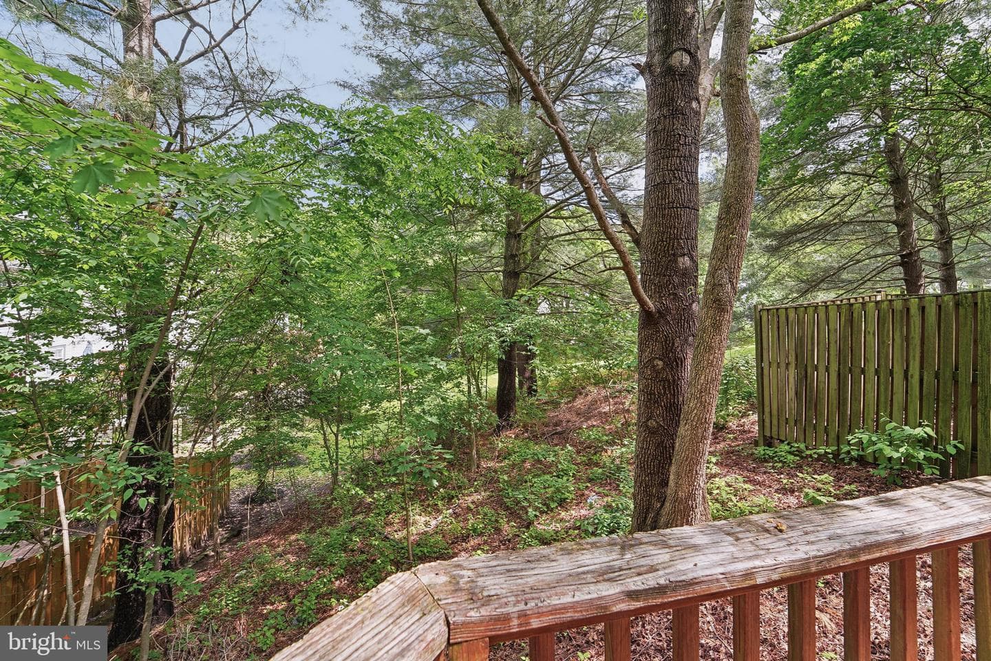 11764 Stonegate Lane photo 32
