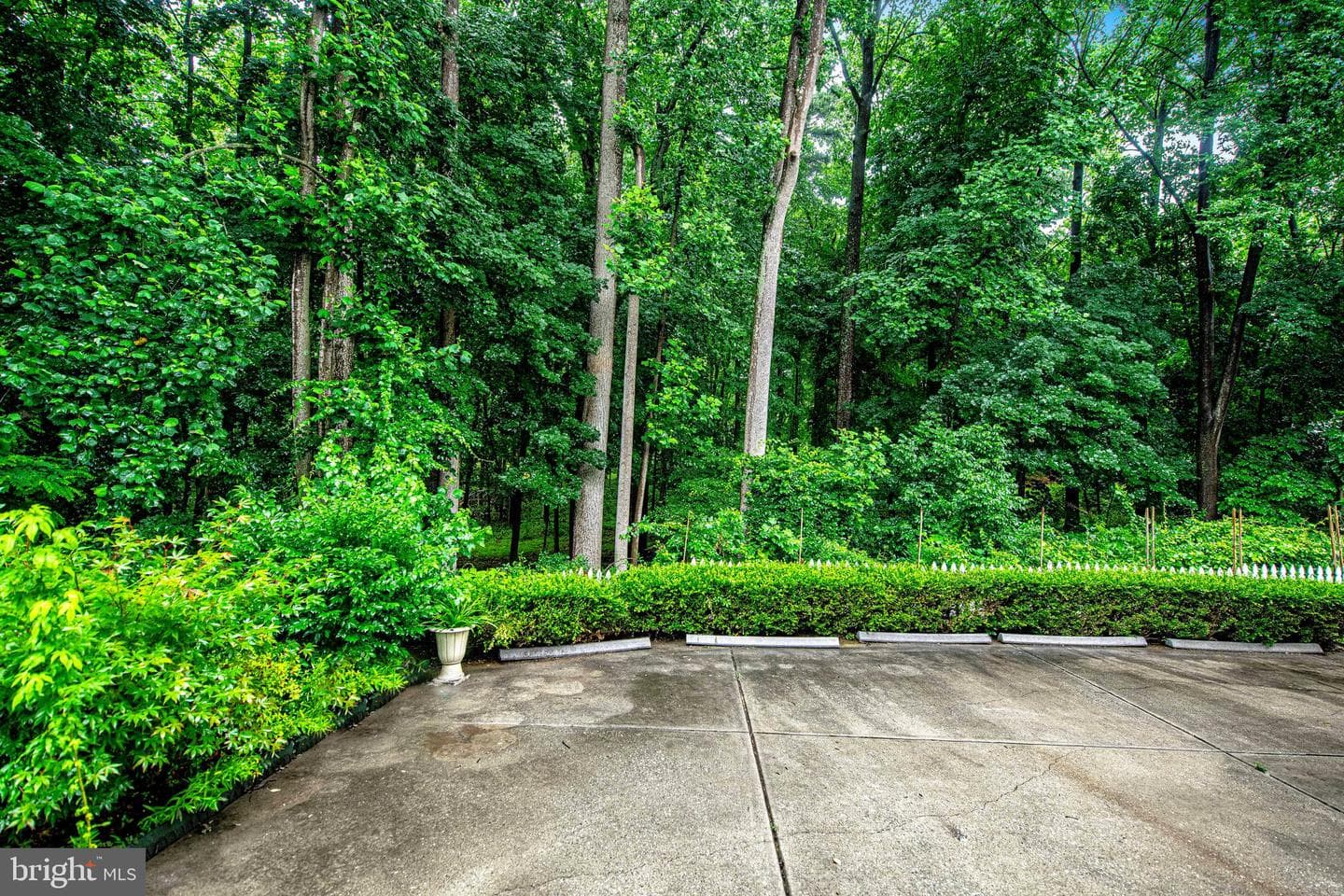 3027 Terra Maria Way photo 47