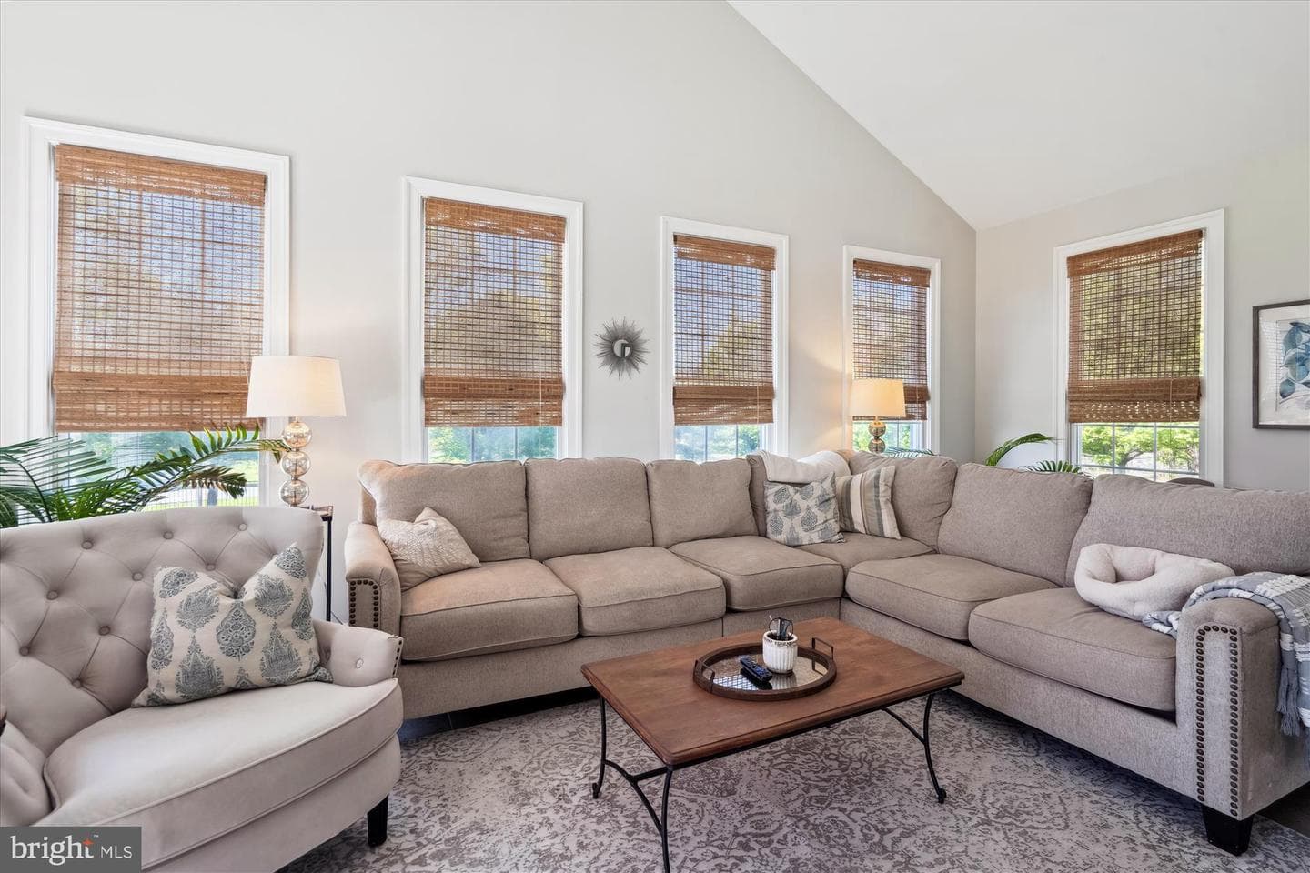 14302 Roxbury Meadow Drive photo 16