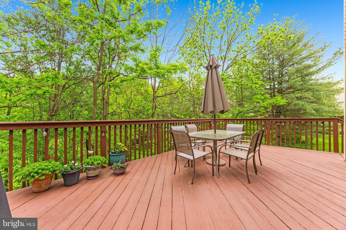 8766 Ruppert Court photo 40