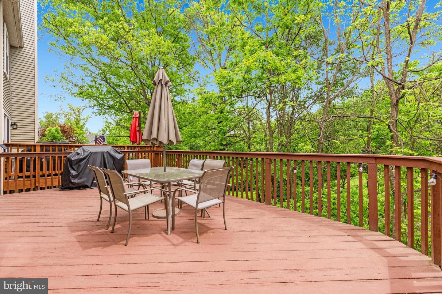 8766 Ruppert Court photo 41