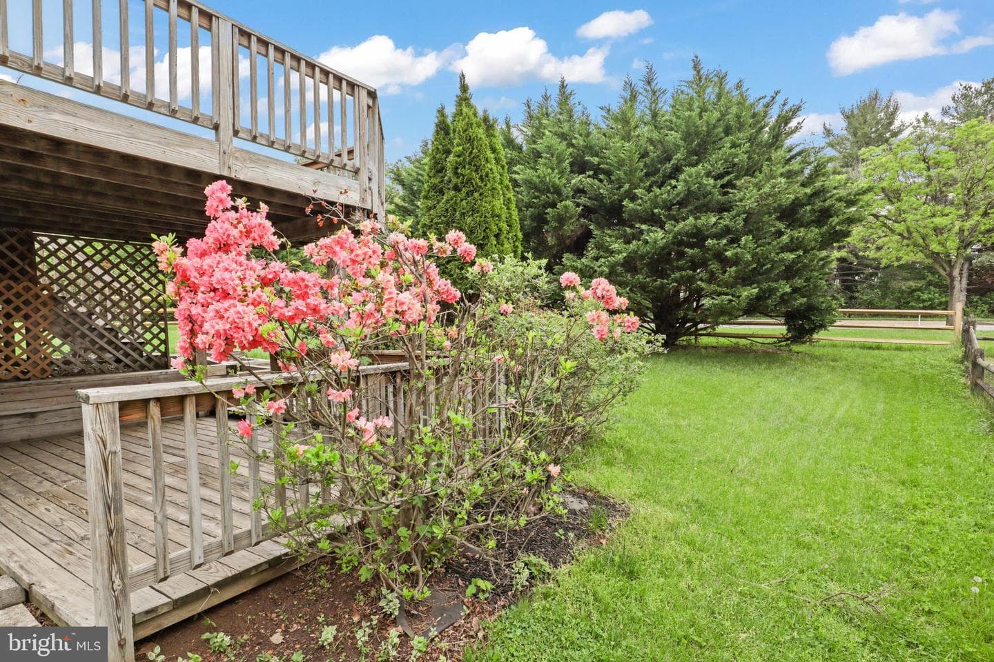 9269 Pigeonwing Place photo 18