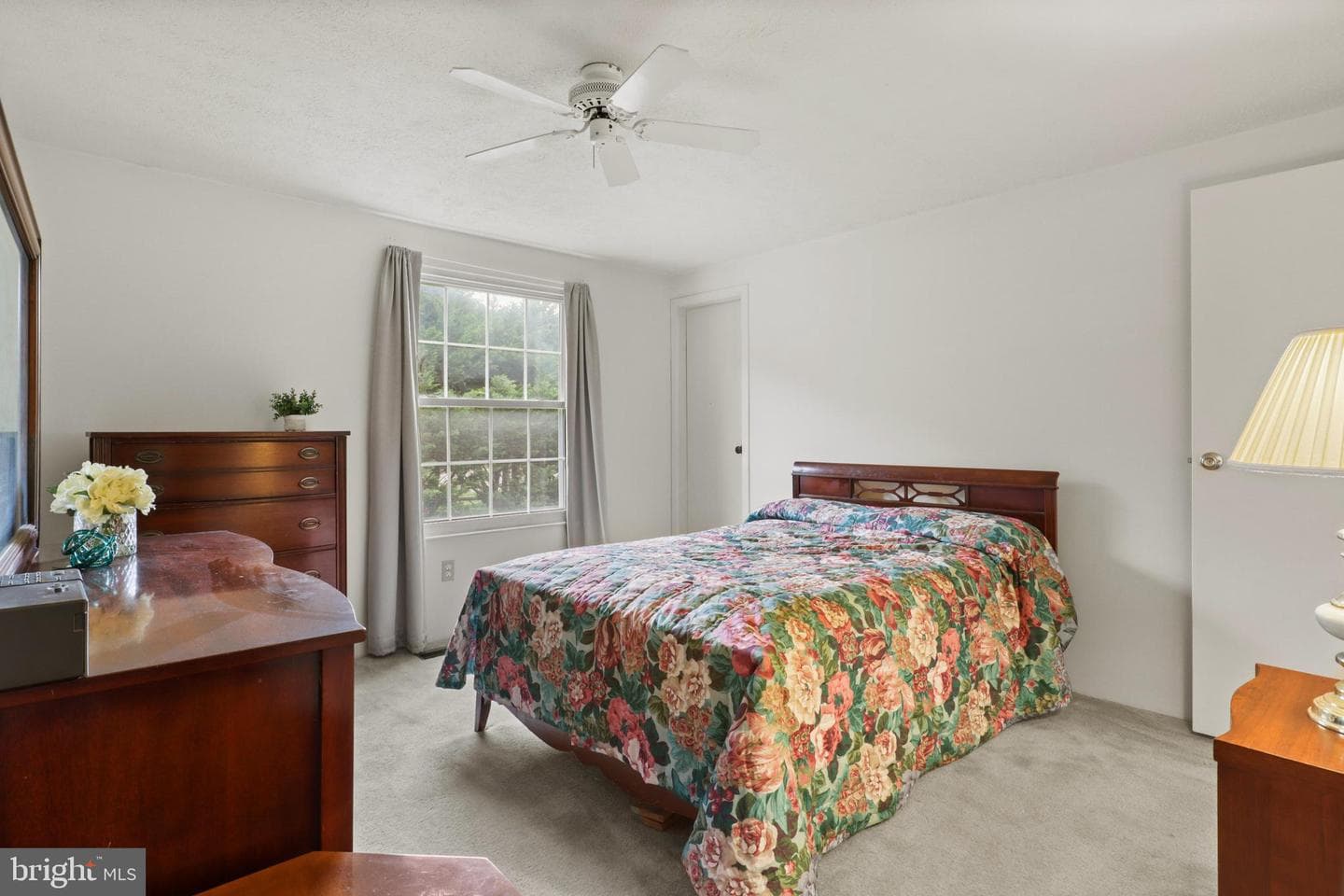 9269 Pigeonwing Place photo 34