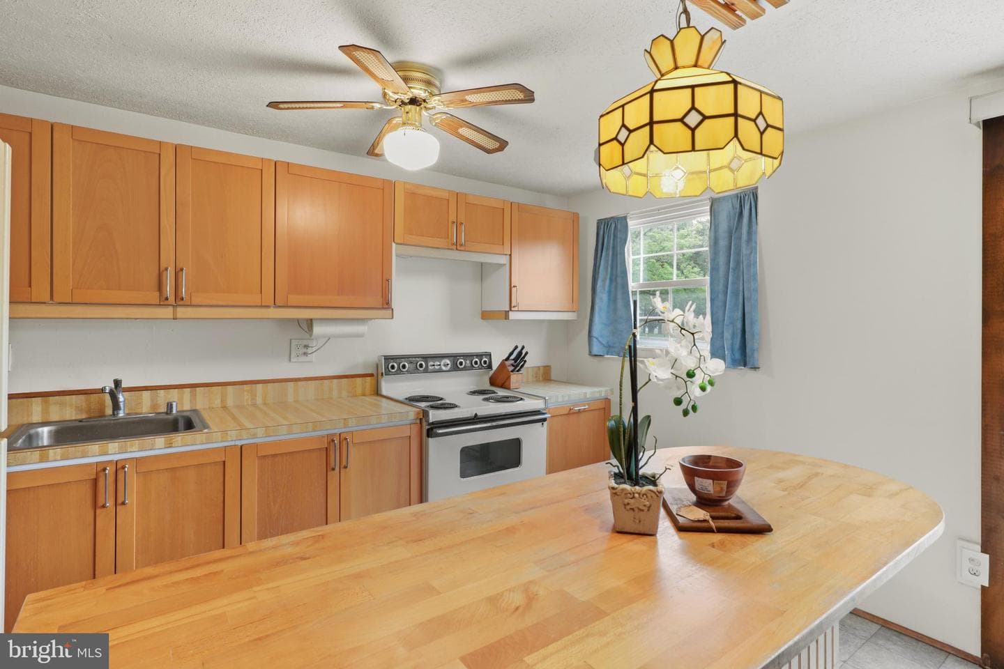 9269 Pigeonwing Place photo 5