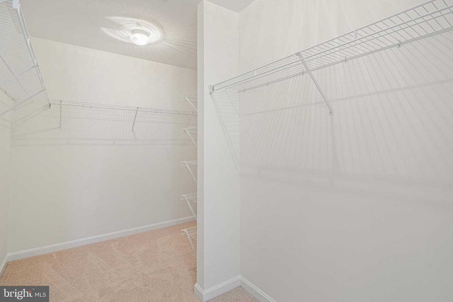 4857 Royal Coachman Drive photo 20