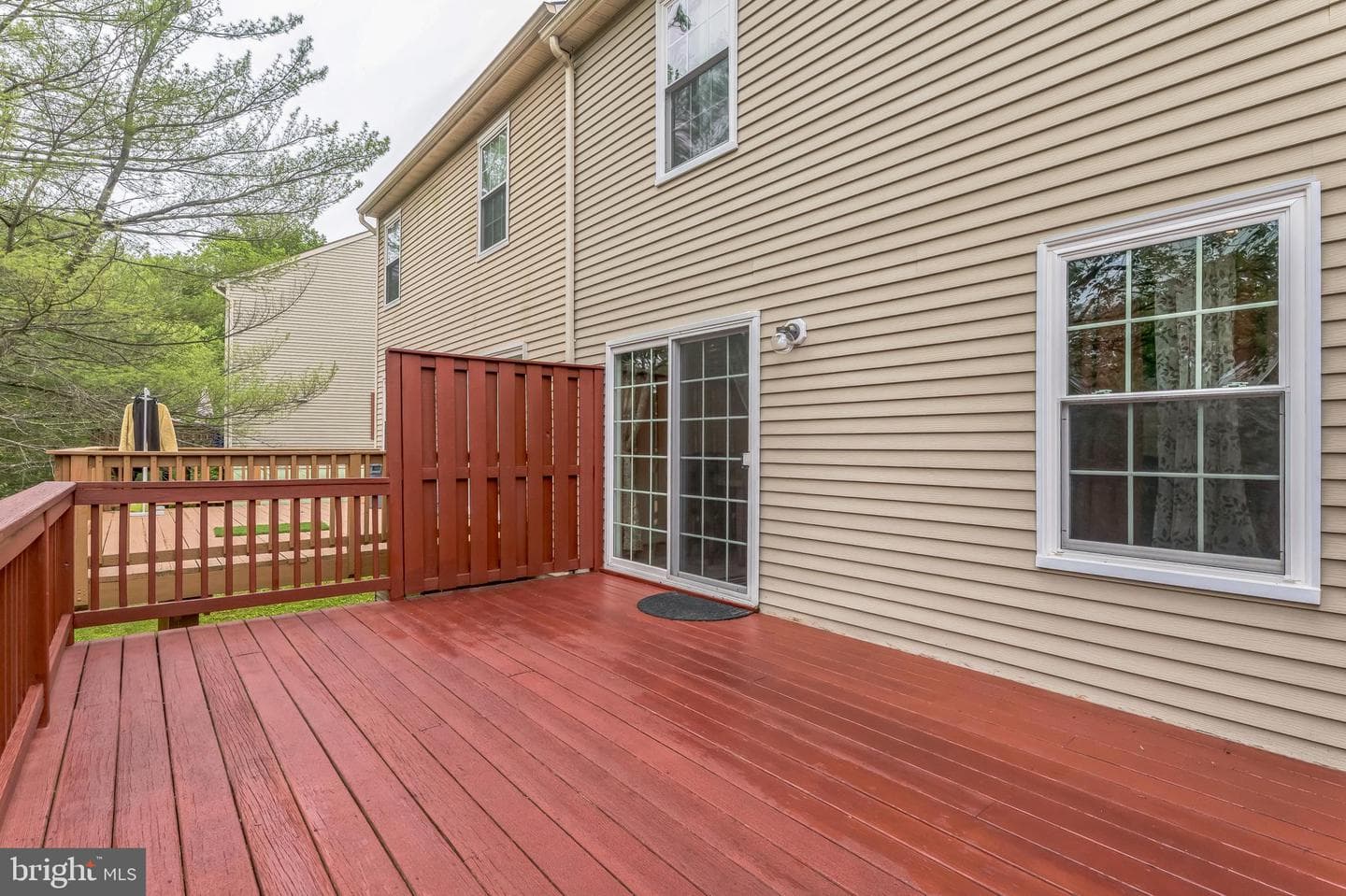 8750 Ruppert Court photo 23