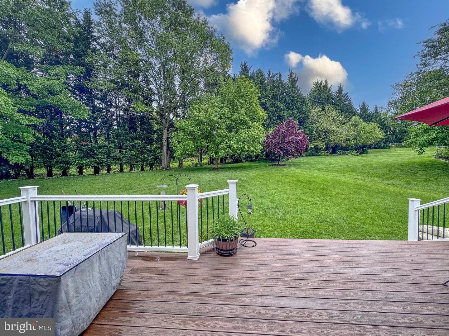 8328 Sand Cherry Lane photo 18