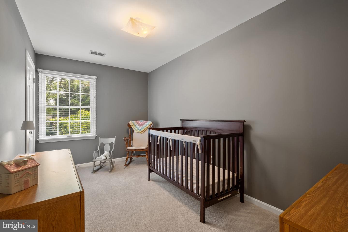 8328 Sand Cherry Lane photo 33