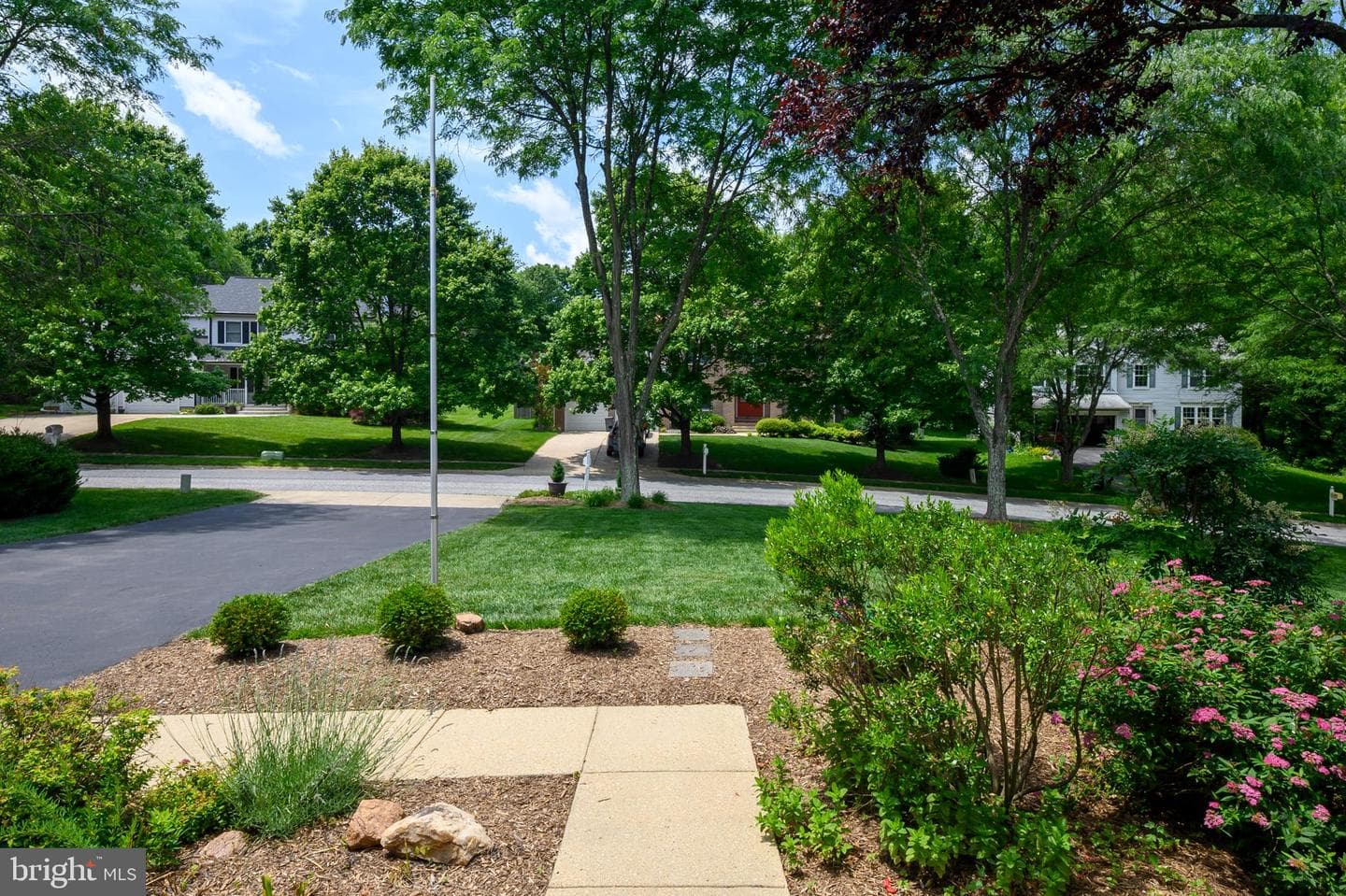 10604 Sourwood Court photo 4