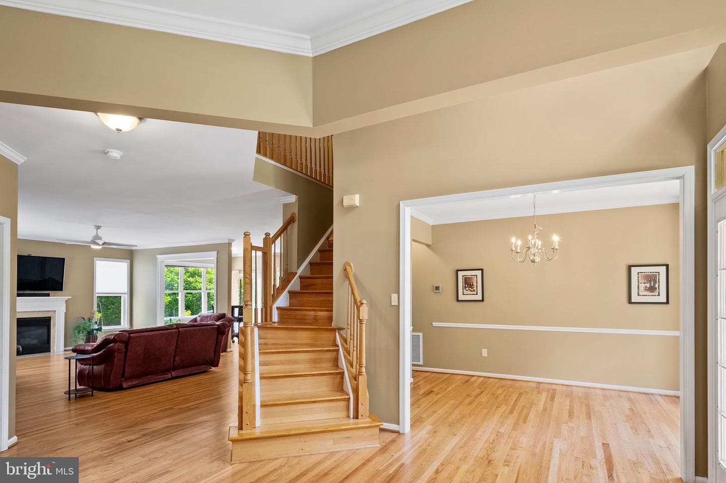 10604 Sourwood Court photo 8