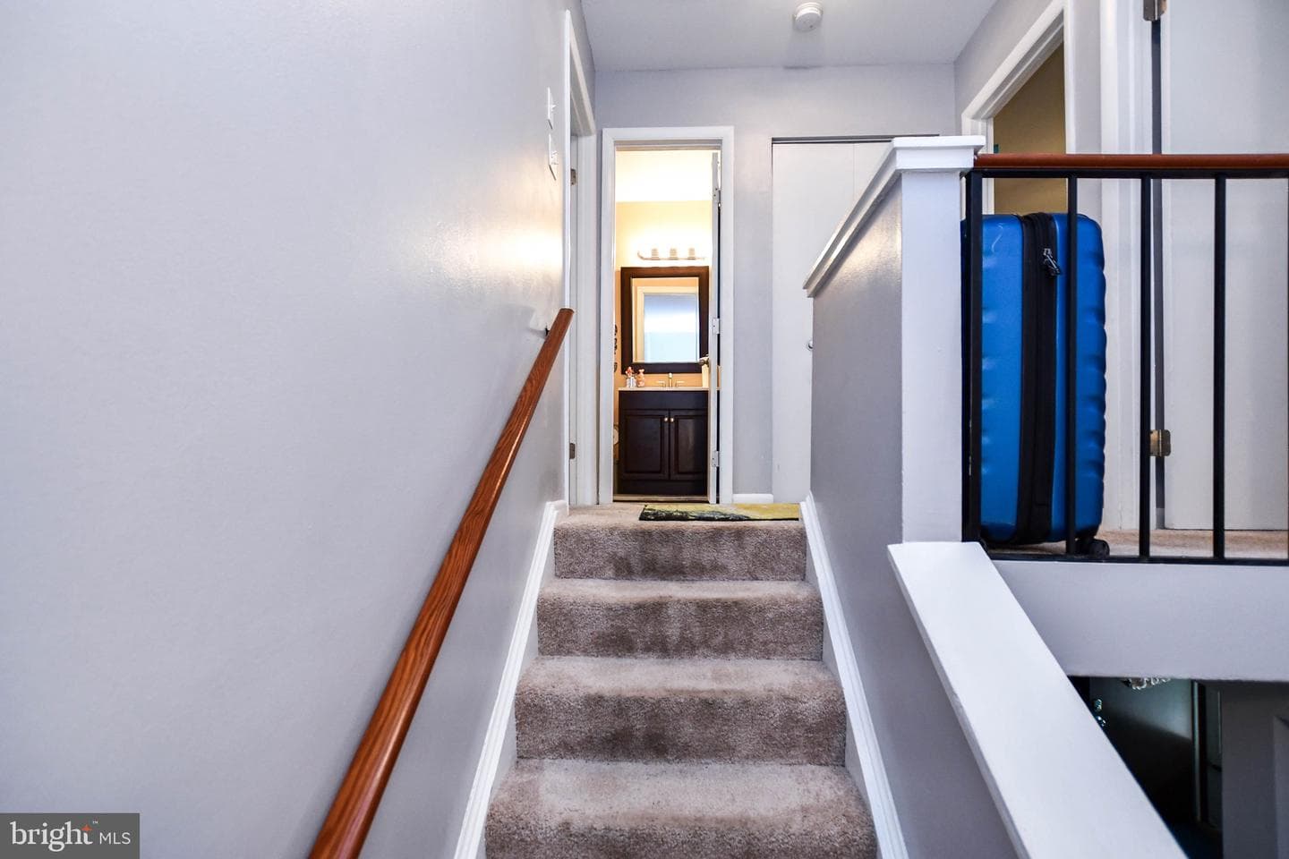 8878 Tamebird Court photo 30