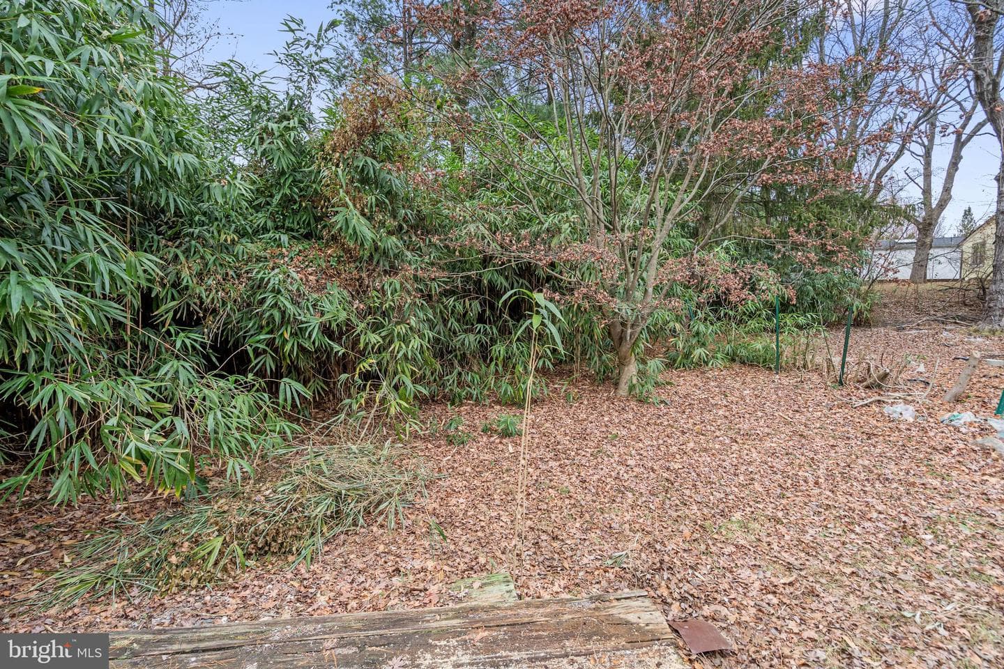 6136 Sinbad Place photo 29
