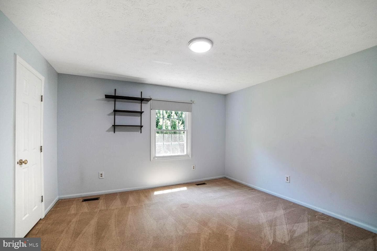 8608 Goldenstraw Lane photo 15
