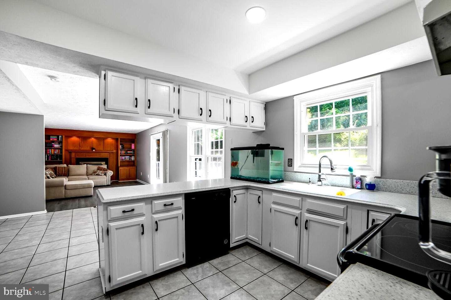 8608 Goldenstraw Lane photo 7