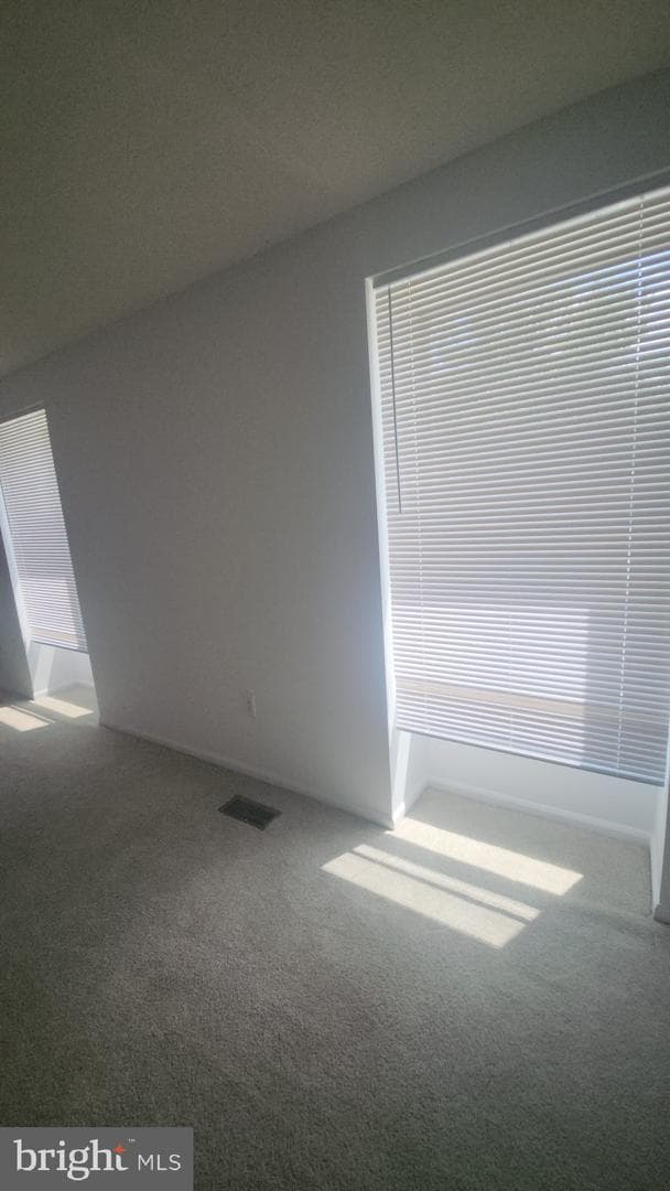 7539 Rain Flower Way photo 18