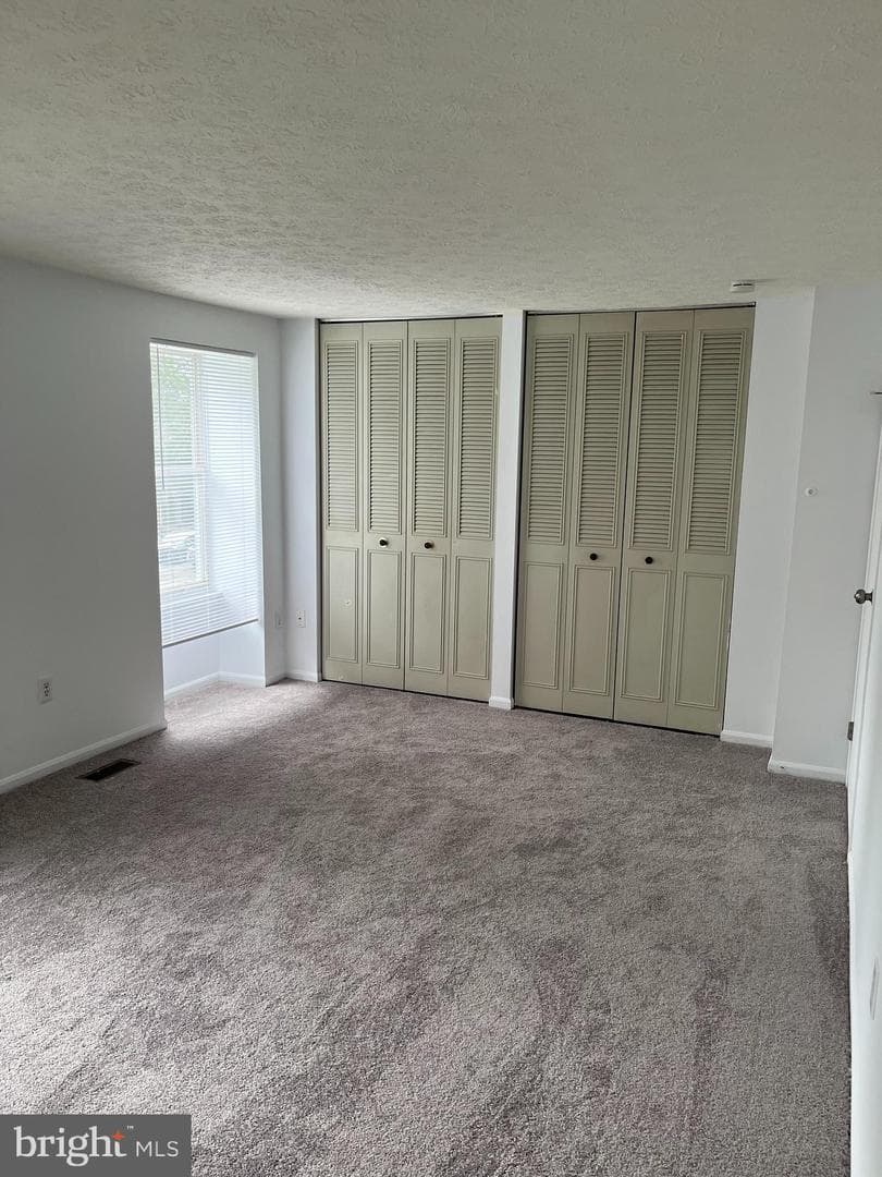 7539 Rain Flower Way photo 9