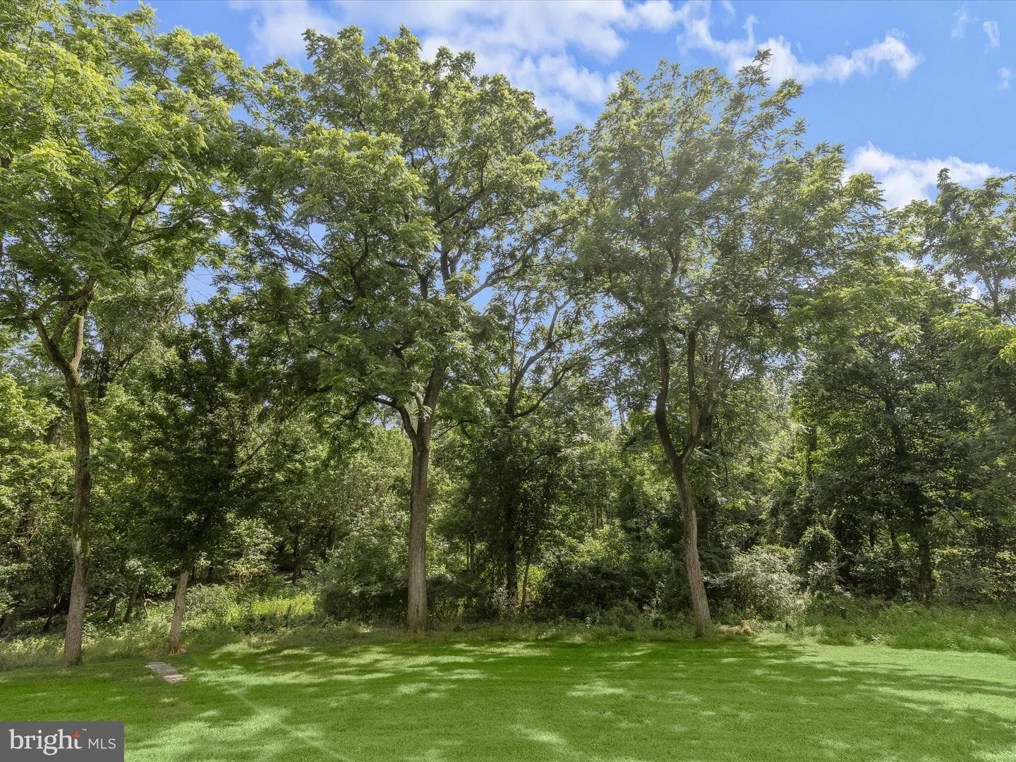 6920 Rawhide Ridge photo 65