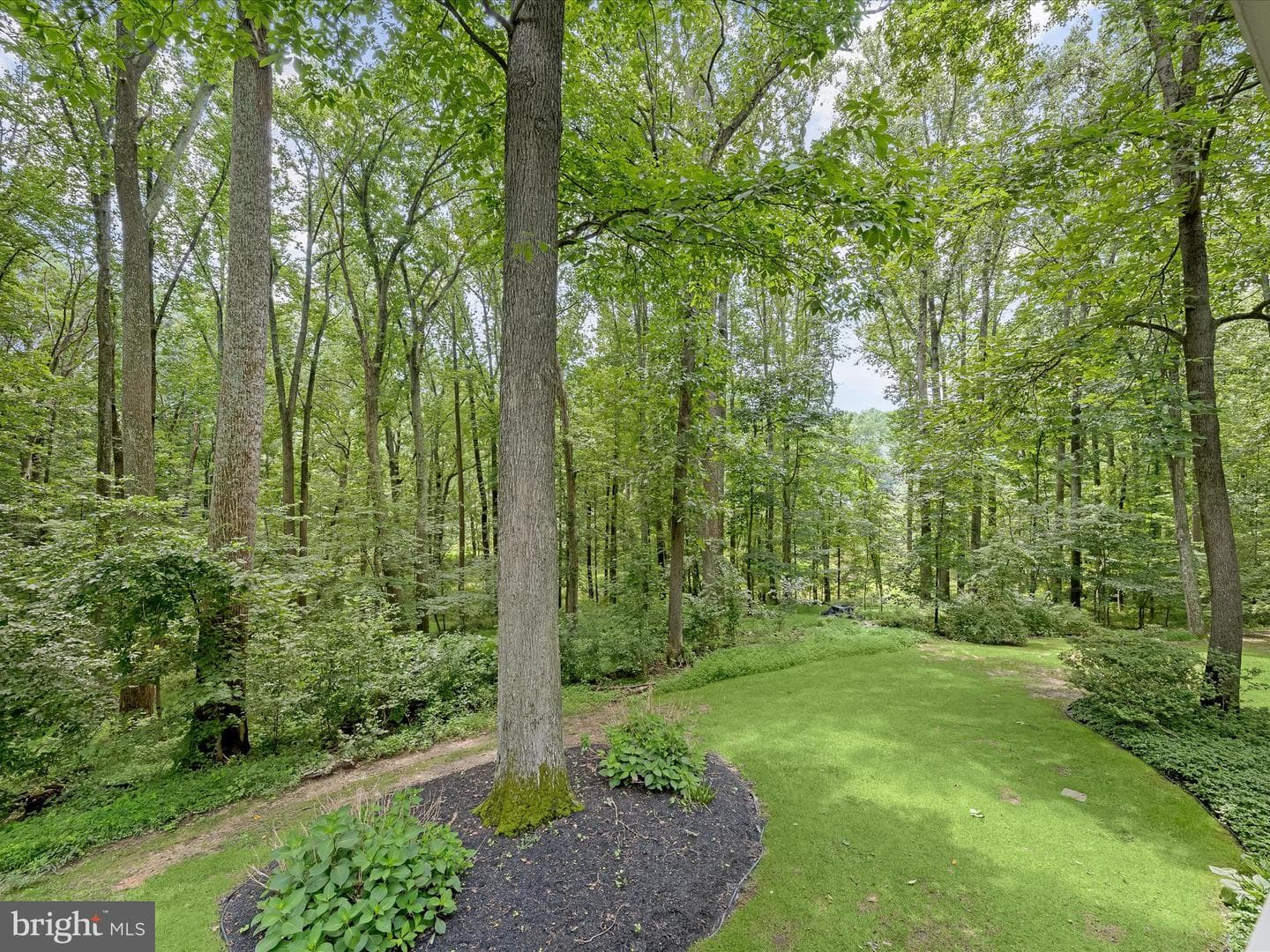 3633 Cameron Court photo 21