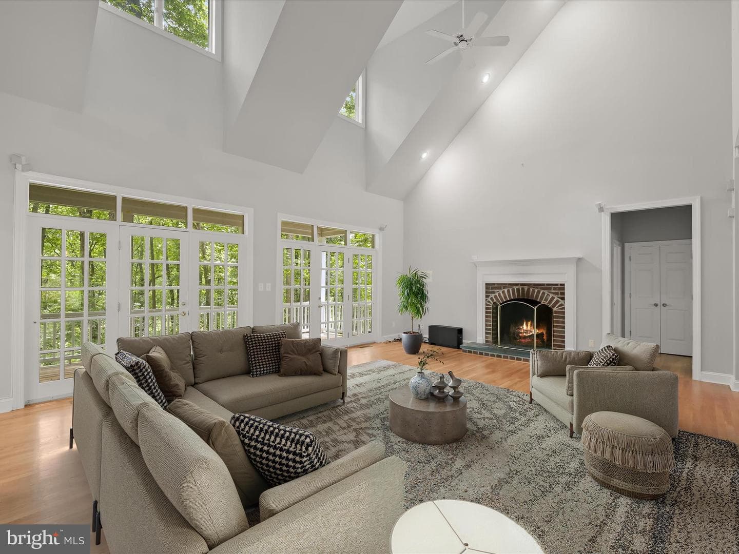 3633 Cameron Court photo 4