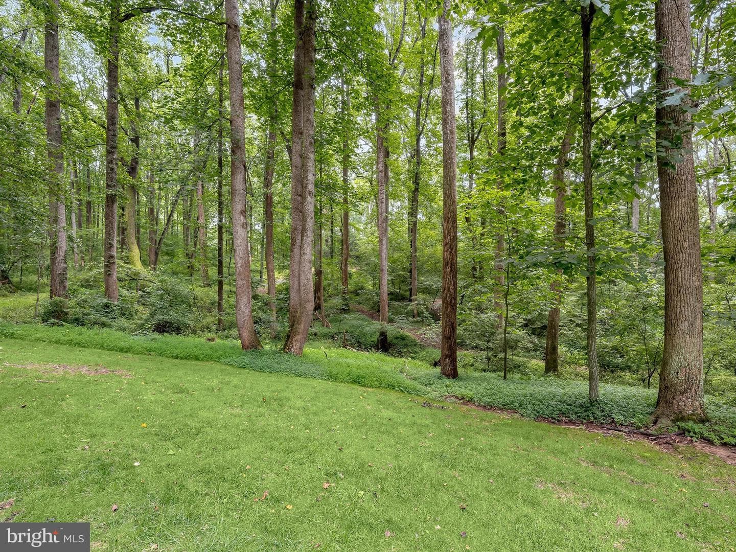 3633 Cameron Court photo 84