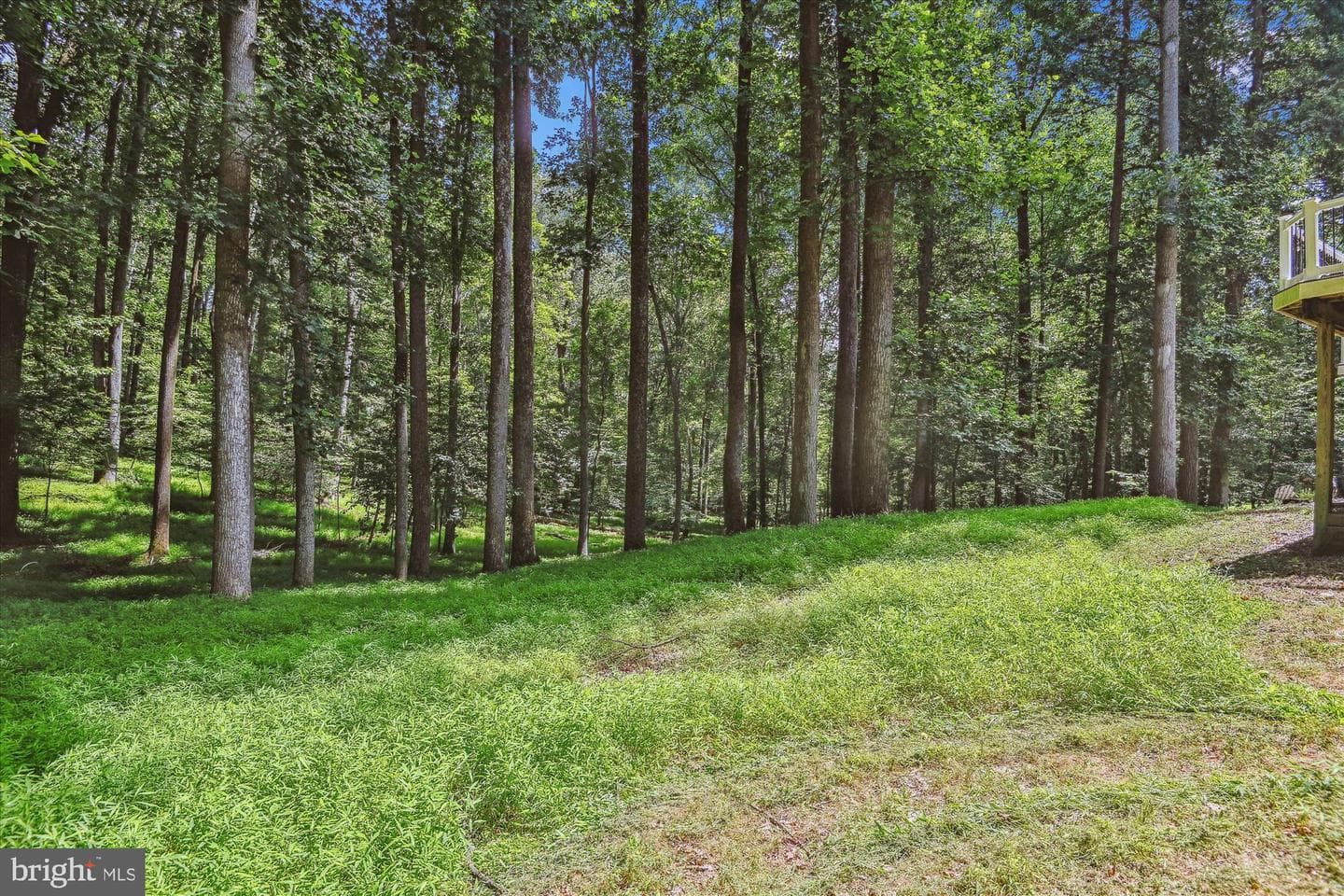 1209 Crystal Ridge Road photo 6
