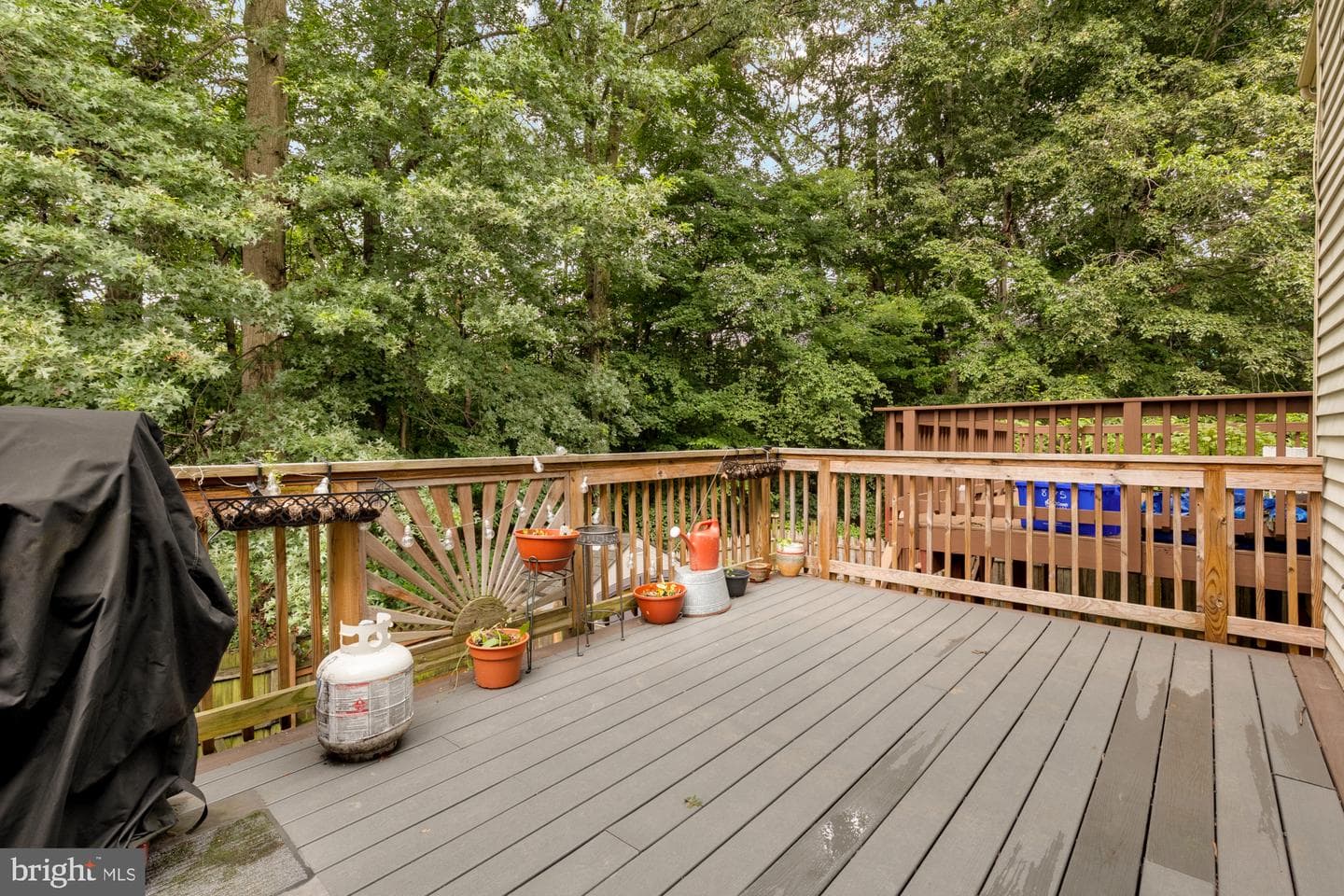 8173 Sheffield Court photo 13