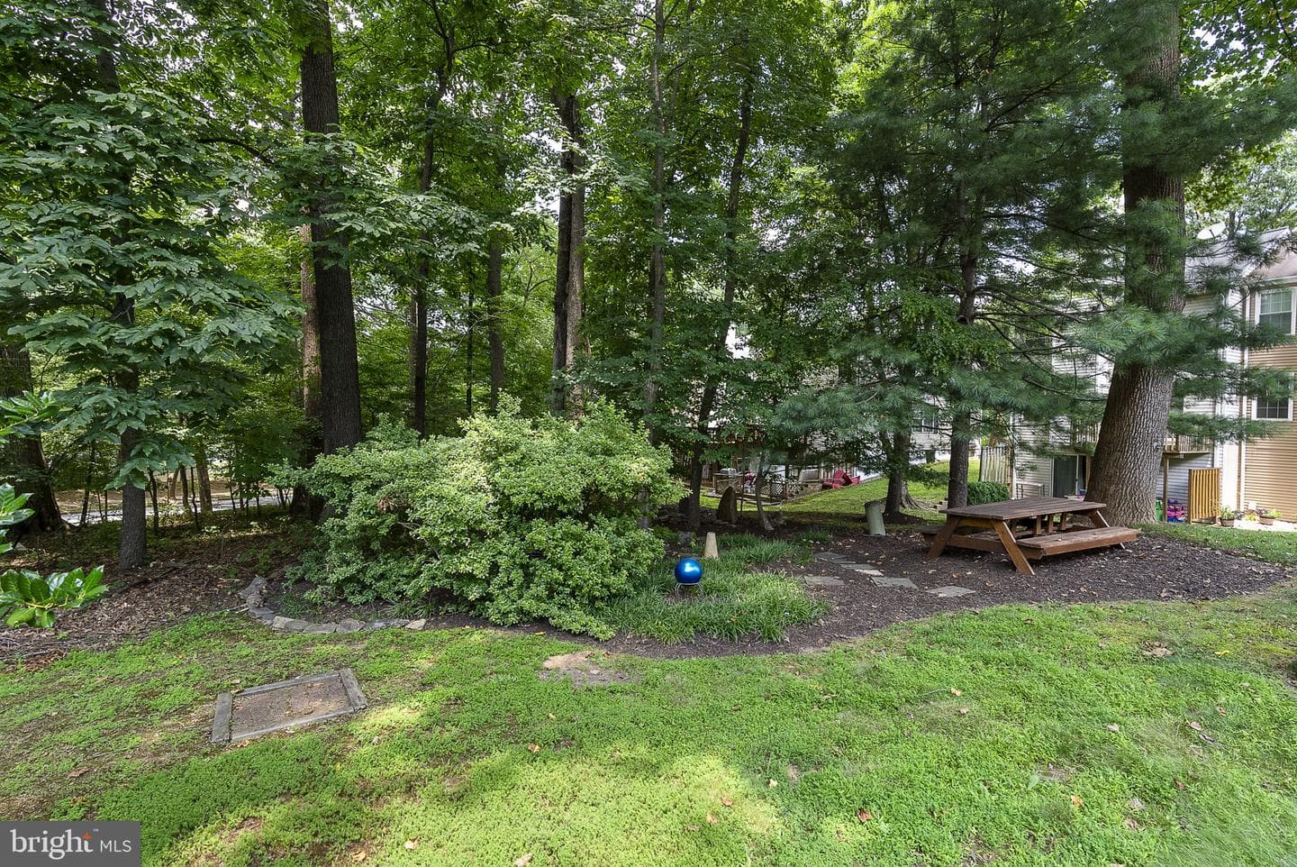 11705 Lone Tree Court photo 2