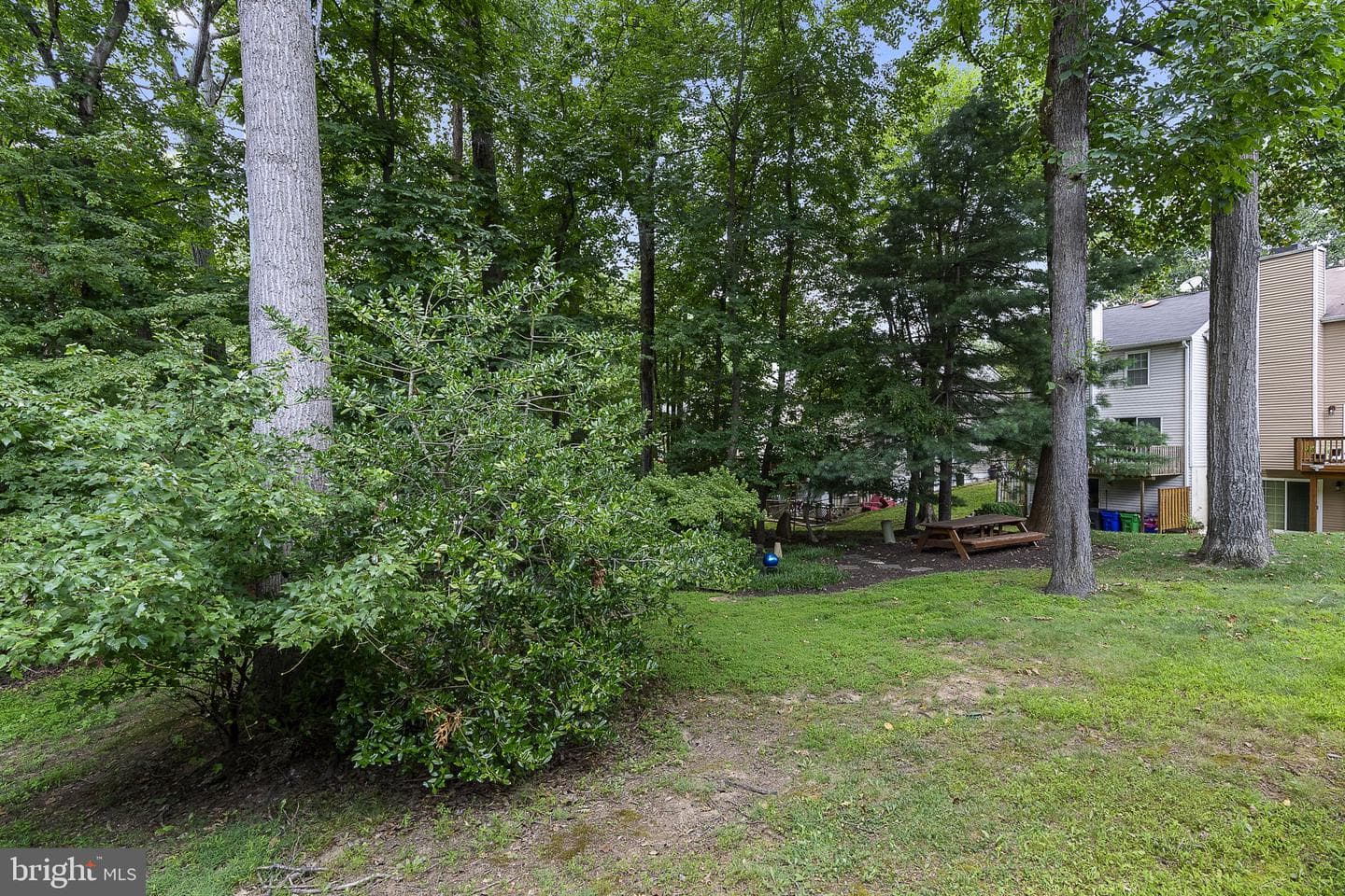 11705 Lone Tree Court photo 45