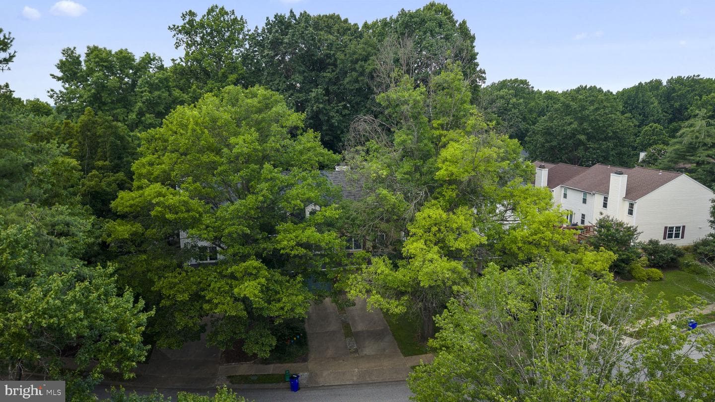 11705 Lone Tree Court photo 64