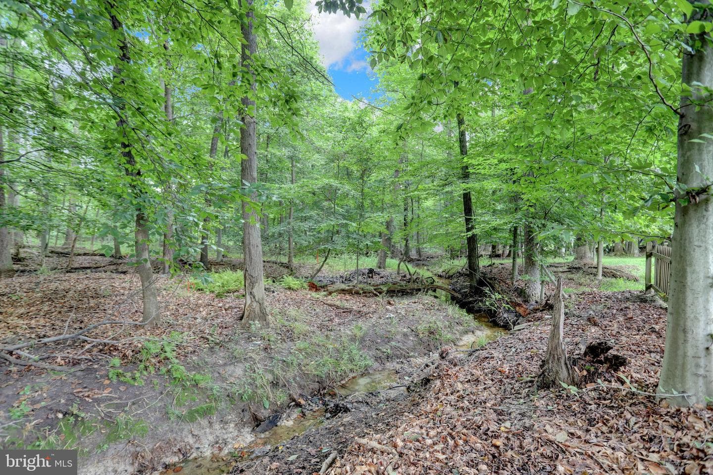 9060 Manorwood Road photo 27