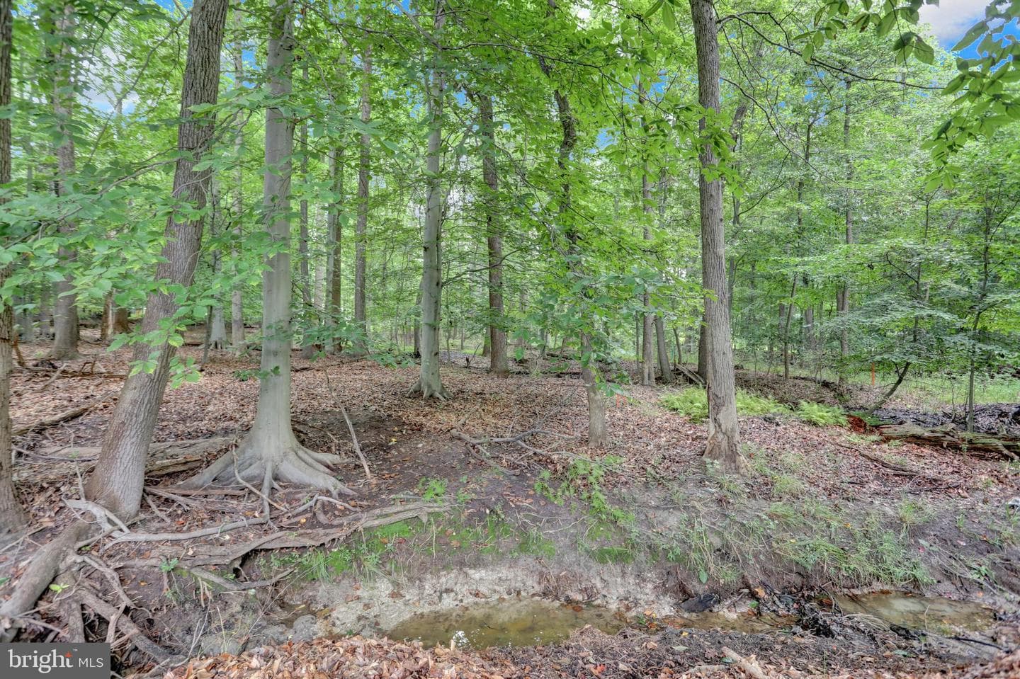 9060 Manorwood Road photo 35