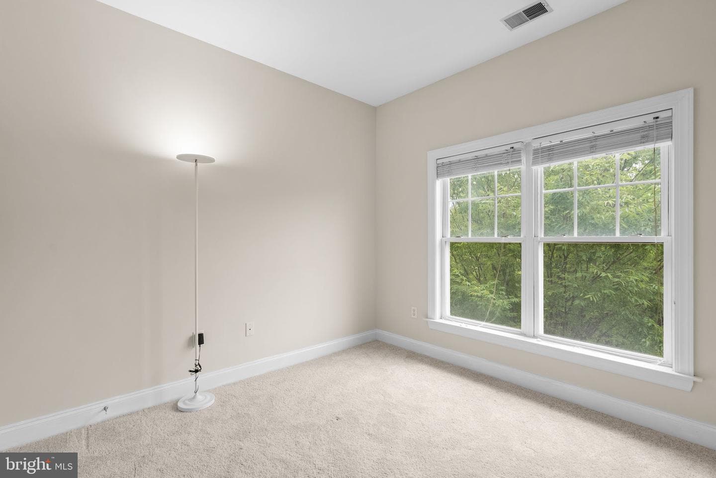 9769 June Flowers Way photo 22