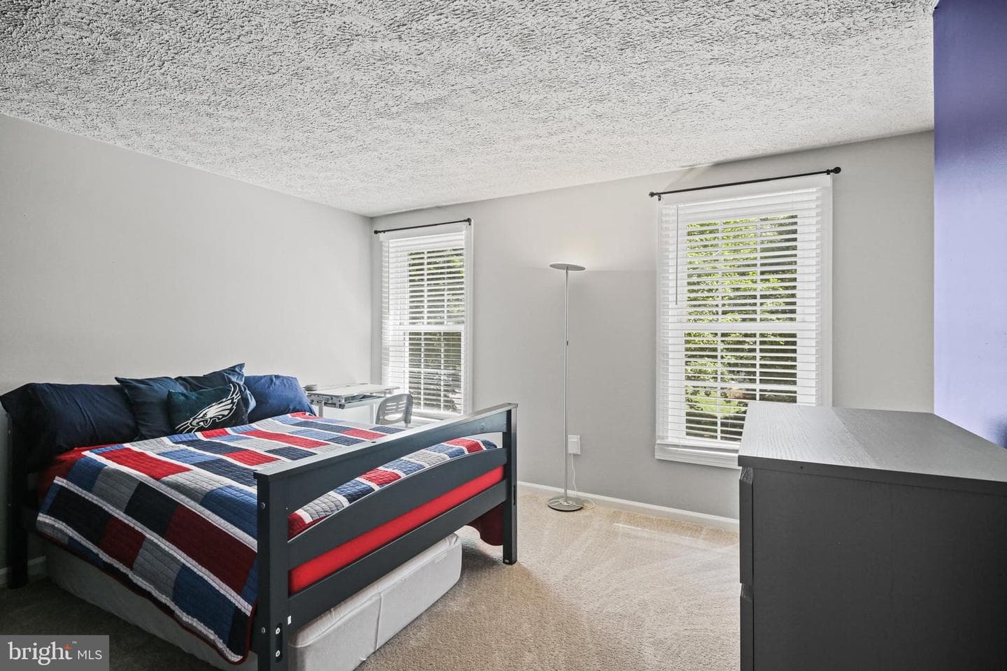 10804 Terrier Court photo 22