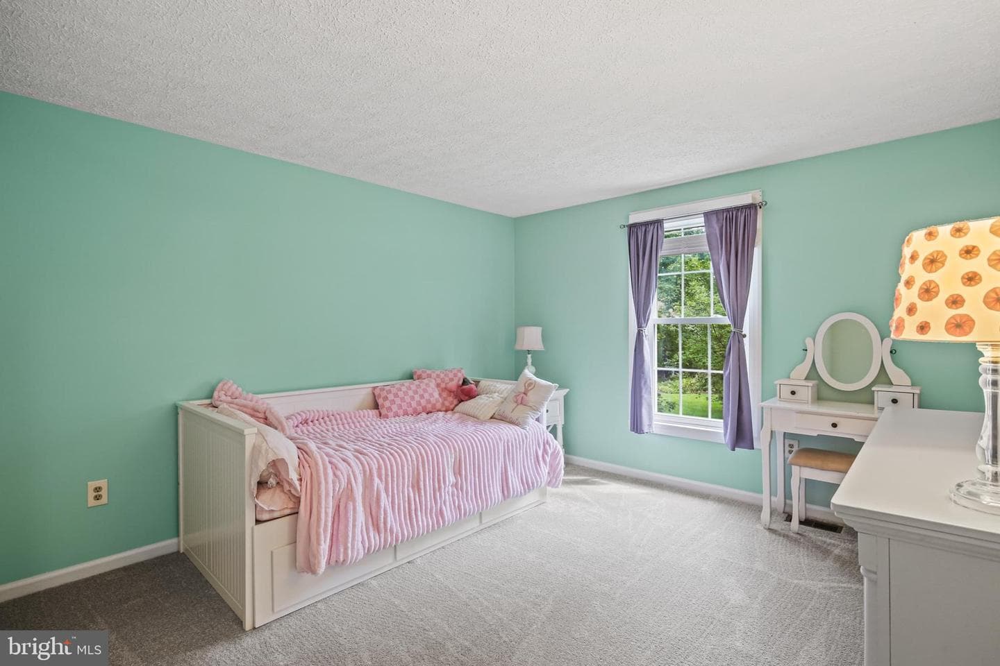 10804 Terrier Court photo 24