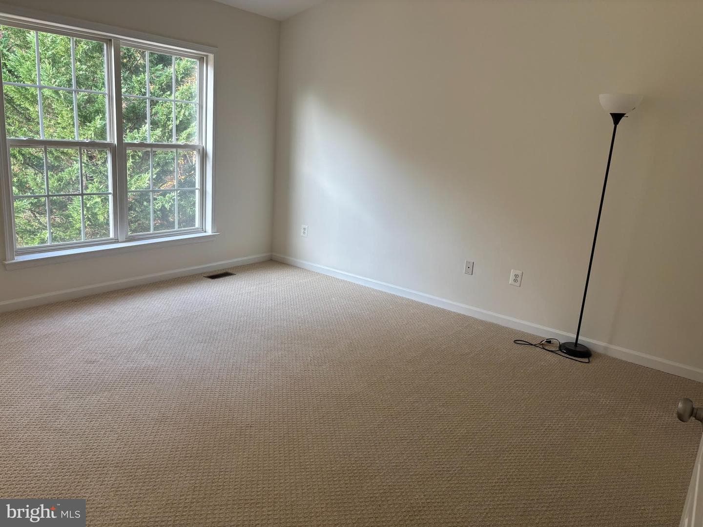 8790 Lincoln Street photo 11