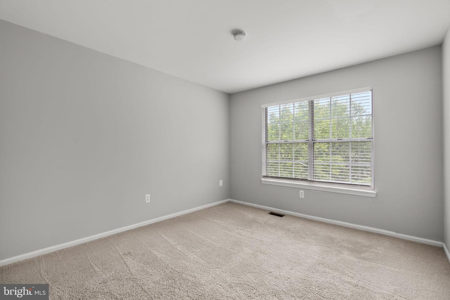 5317 Chase Lions Way photo 13