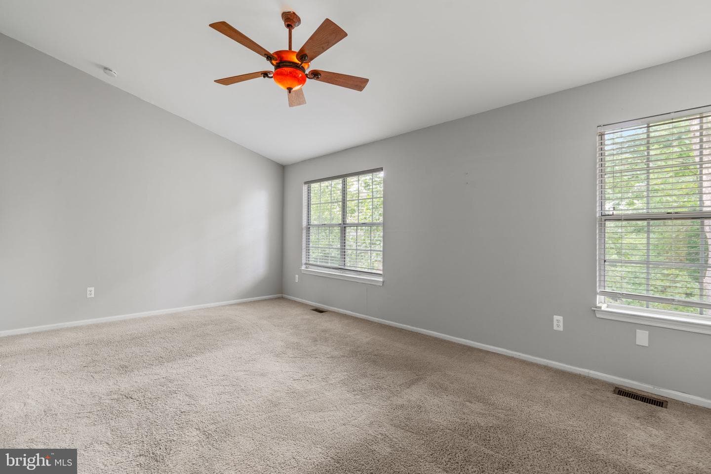 5317 Chase Lions Way photo 18