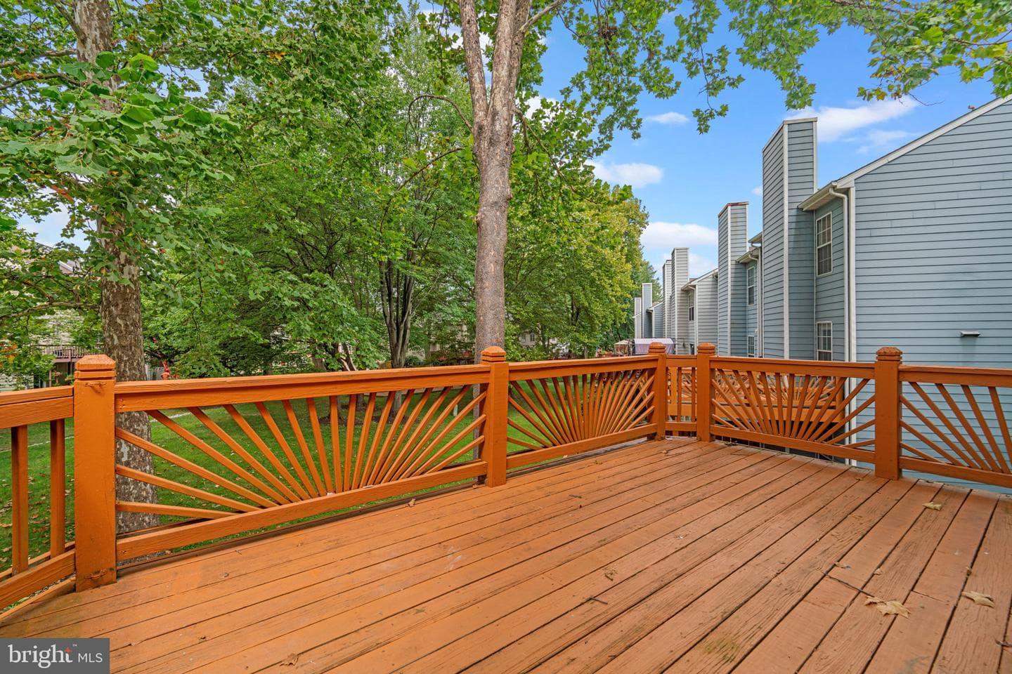 5317 Chase Lions Way photo 25